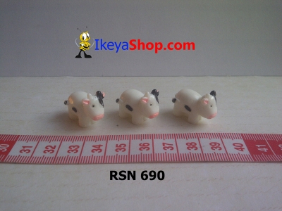 rsn 690  large2